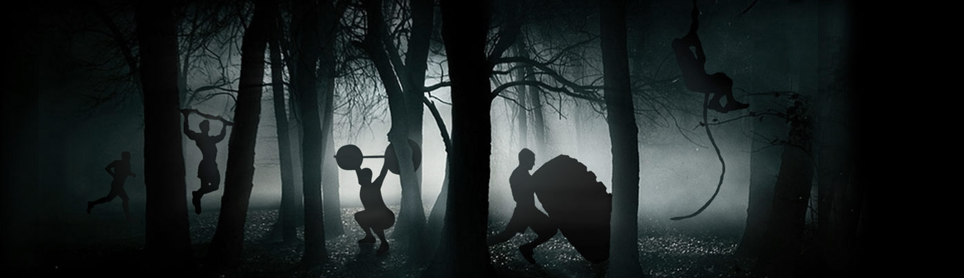 cross-training-fit-box